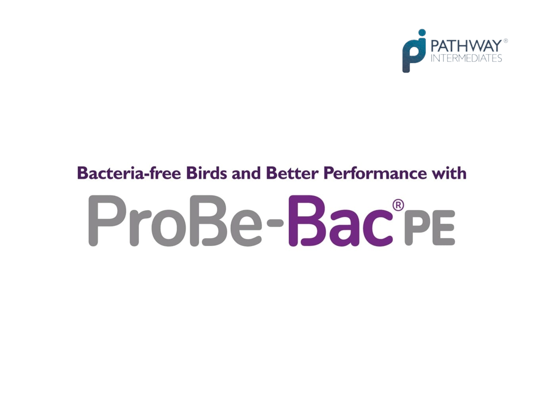 ProBe-Bac PE.png